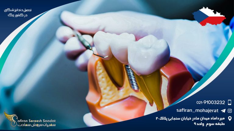 تحصیل دندانپزشکی در کشور چک