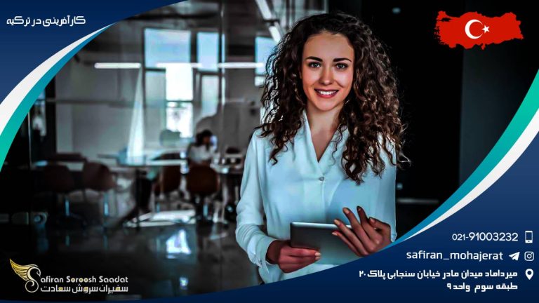 کارآفرینی در ترکیه