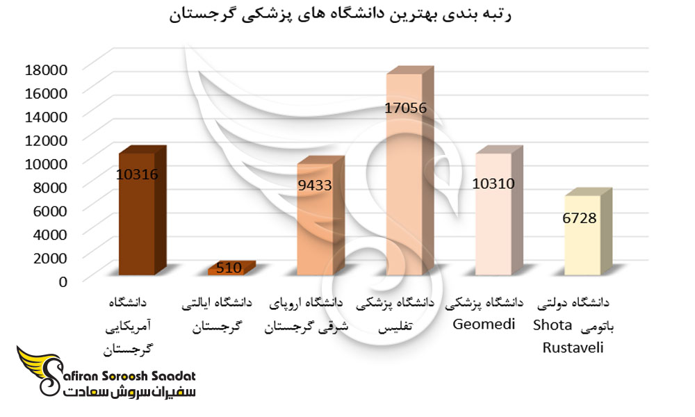 بهترین دانشگاه های پزشکی گرجستان