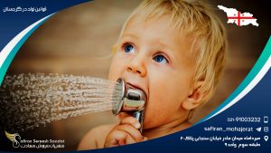 قوانین تولد در گرجستان