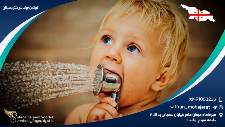 قوانین تولد در گرجستان