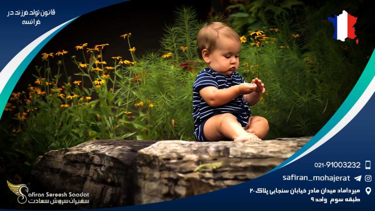 قانون تولد فرزند در فرانسه