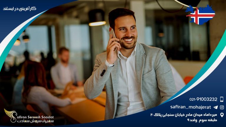 کارآفرینی در ایسلند