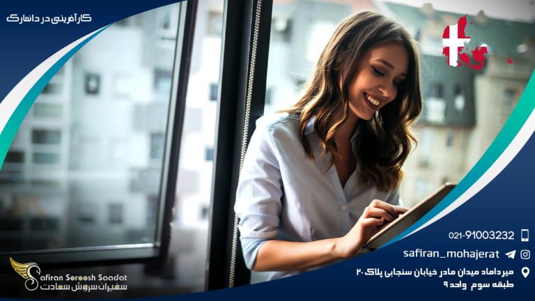 کارآفرینی در دانمارک