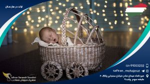 تولد در مجارستان
