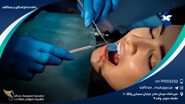 رشته دندانپزشکی در اسکاتلند