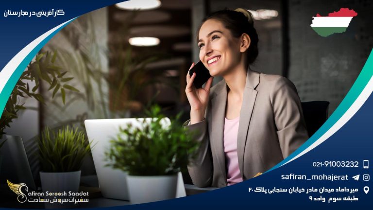 کارآفرینی در مجارستان