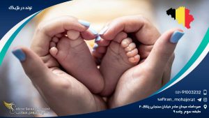 تولد در بلژیک