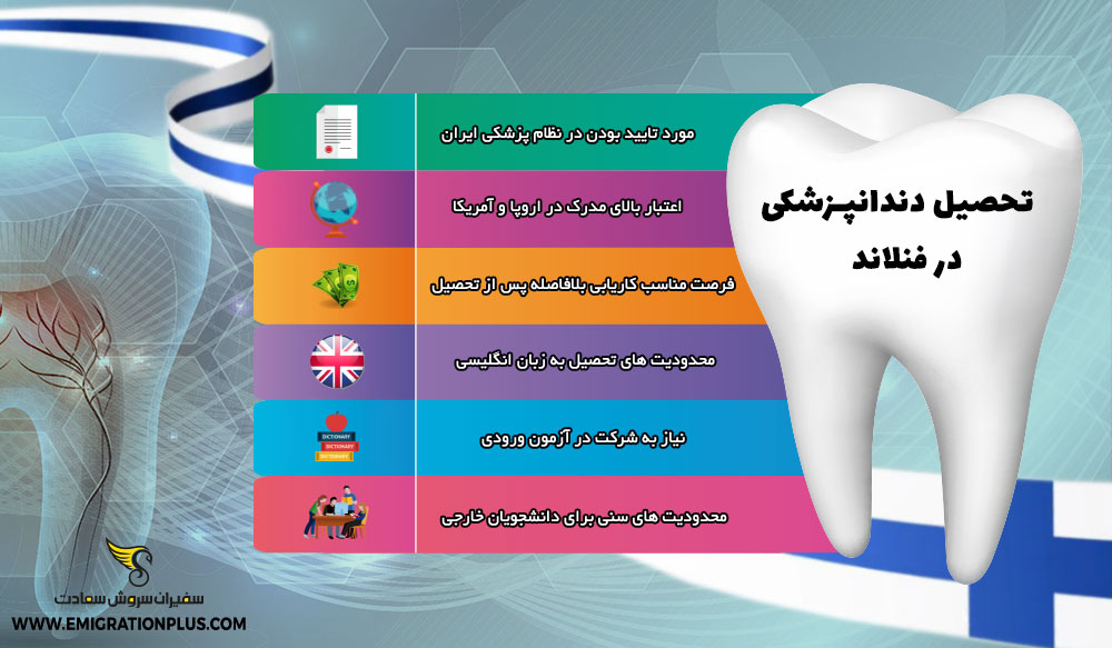 اینفوگرافی تحصیل دندانپزشکی در فنلاند