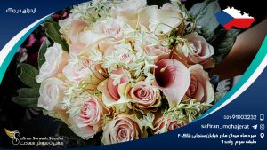 ازدواج در چک