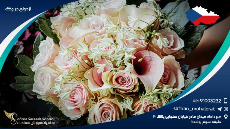 ازدواج در چک