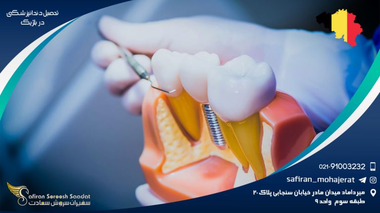 تحصیل دندانپزشکی در بلژیک