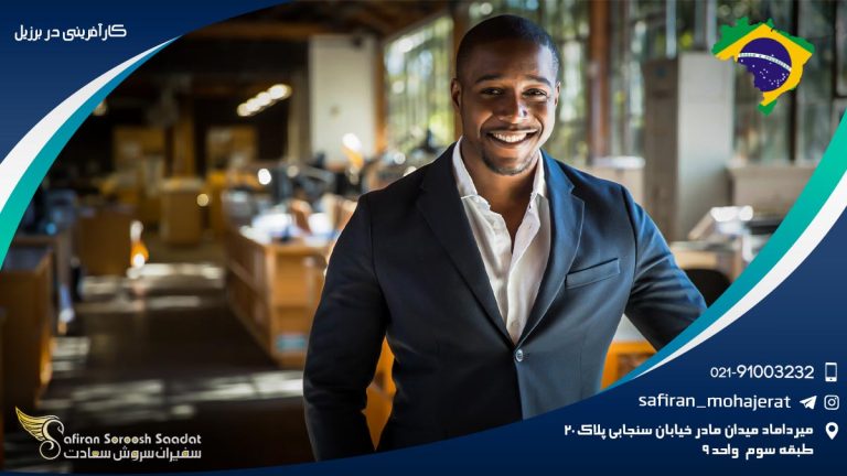 کارآفرینی در برزیل