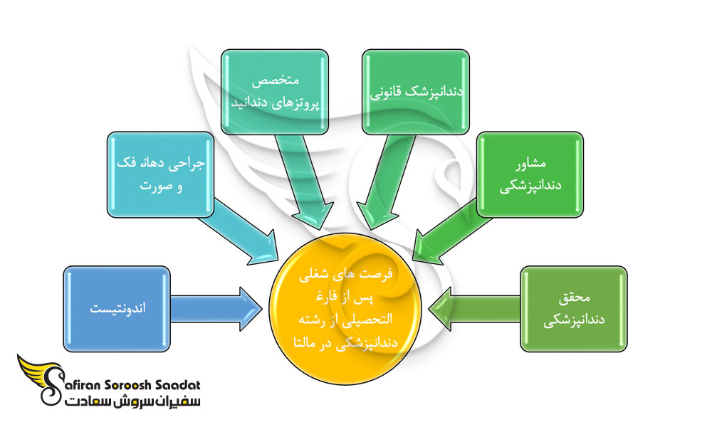 فرصت های شغلی دندانپزشکی مالتا پس از فارغ التحصیلی