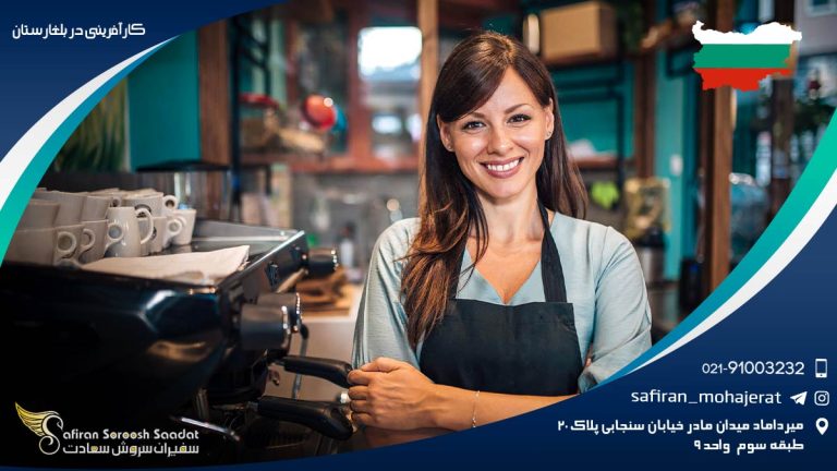 کارآفرینی در بلغارستان