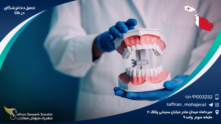 تحصیل دندانپزشکی در مالتا