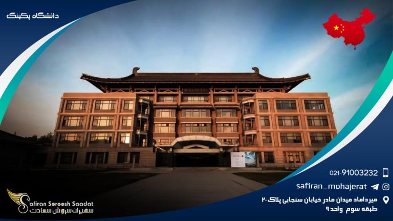 دانشگاه پکینگ