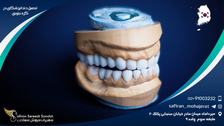 تحصیل دندانپزشکی در کره جنوبی