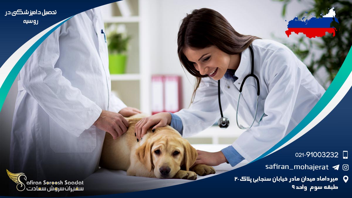 نحوه تحصیل دامپزشکی در روسیه تحصیل دامپزشکی در روسیه