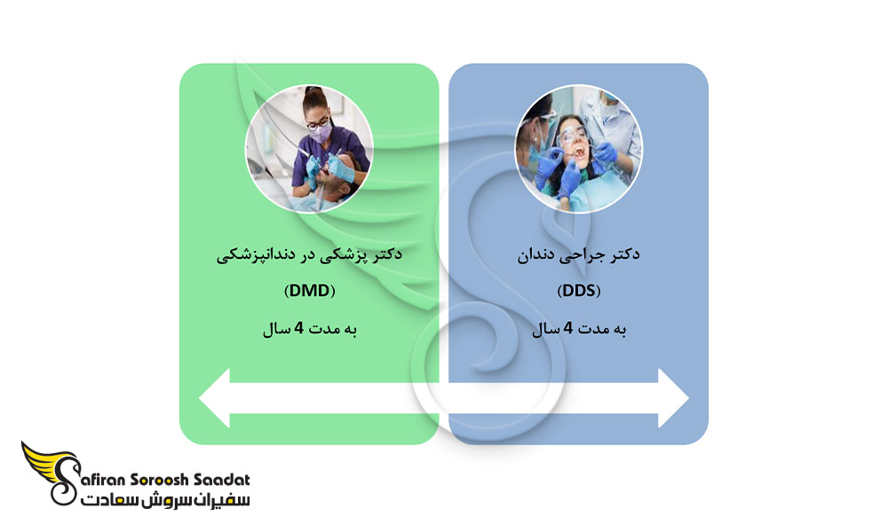 مشاغل مربوط به تحصیل دندانپزشکی در آمریکا