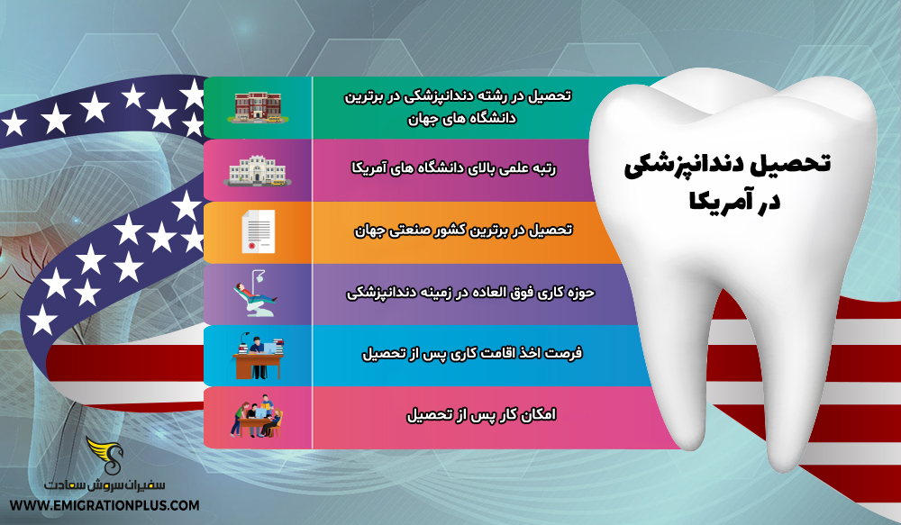 اینفوگرافیک تحصیل دندانپزشکی در آمریکا