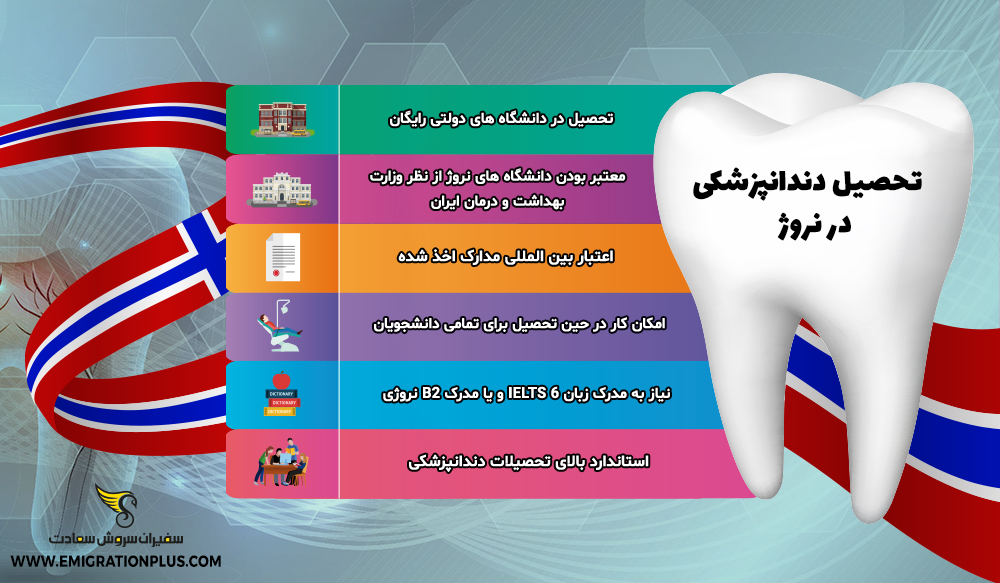اینفوگرافیک تحصیل دندانپزشکی در نروژ