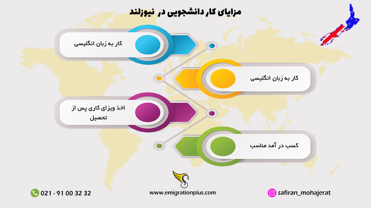 اینفوگرافیک کار دانشجویی در نیوزلند