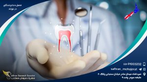 تحصیل دندانپزشکی در نیوزلند