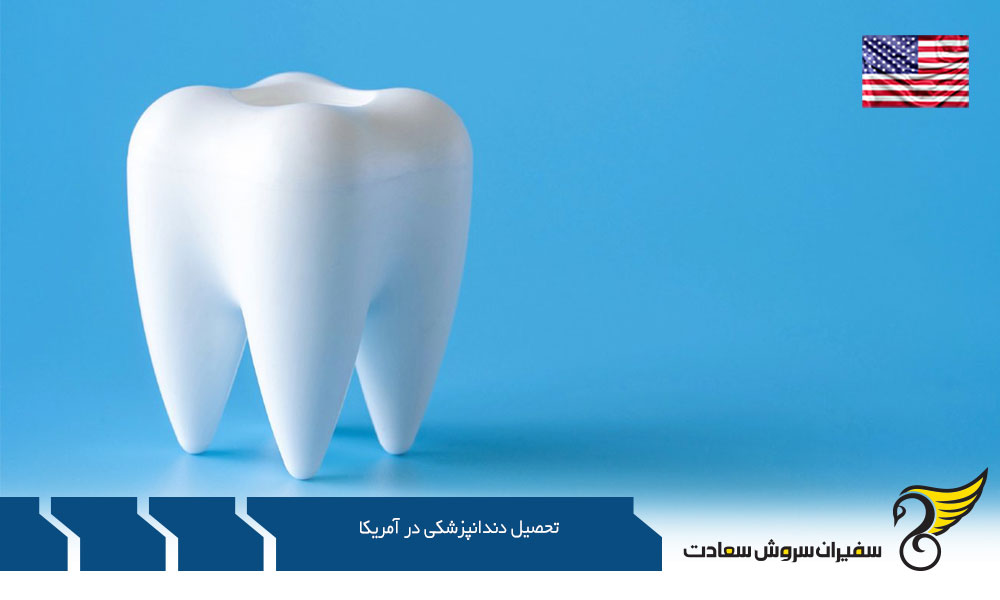 هزینه تحصیل دندانپزشکی و زندگی در آمریکا