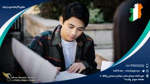 مقطع کارشناسی در ایرلند