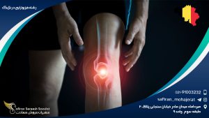 رشته فیزیوتراپی در بلژیک