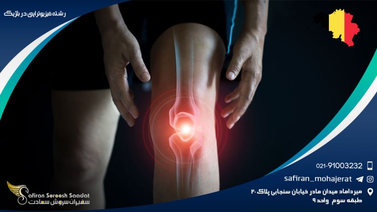 رشته فیزیوتراپی در بلژیک