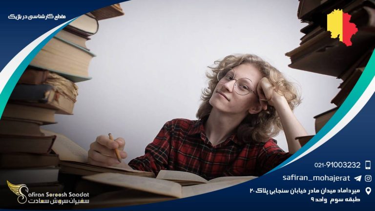 مقطع کارشناسی در بلژیک