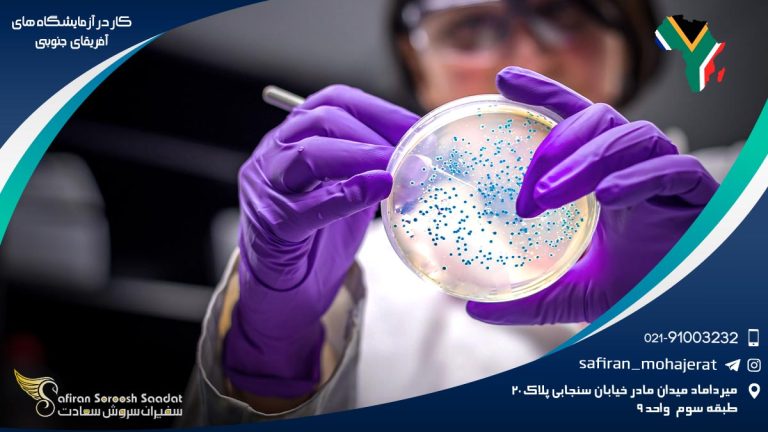 کار در آزمایشگاه های آفریقای جنوبی