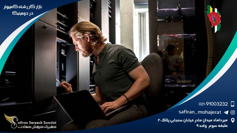 بازار کار رشته کامپیوتر در دومینیکا