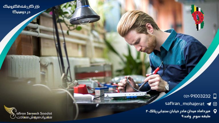 بازار کار رشته الکترونیک در دومینیکا