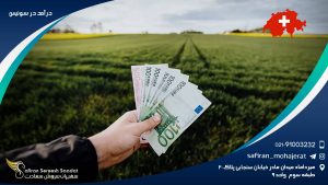 درآمد در سوئیس