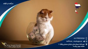 درآمد در تایلند