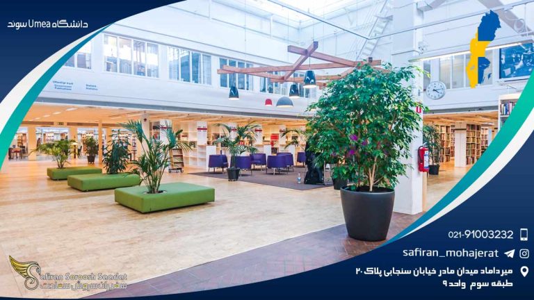دانشگاه Umea سوئد