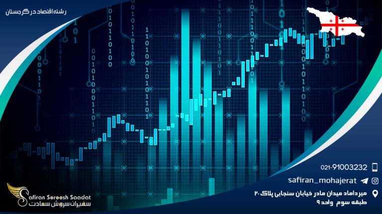 رشته اقتصاد در گرجستان