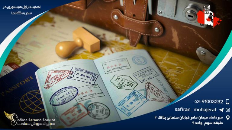تراول هیستوری چیست