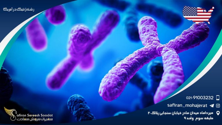 رشته ژنتیک در آمریکا