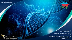 رشته ژنتیک در آذربایجان