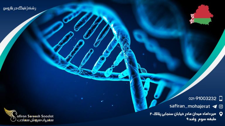 رشته ژنتیک در بلاروس