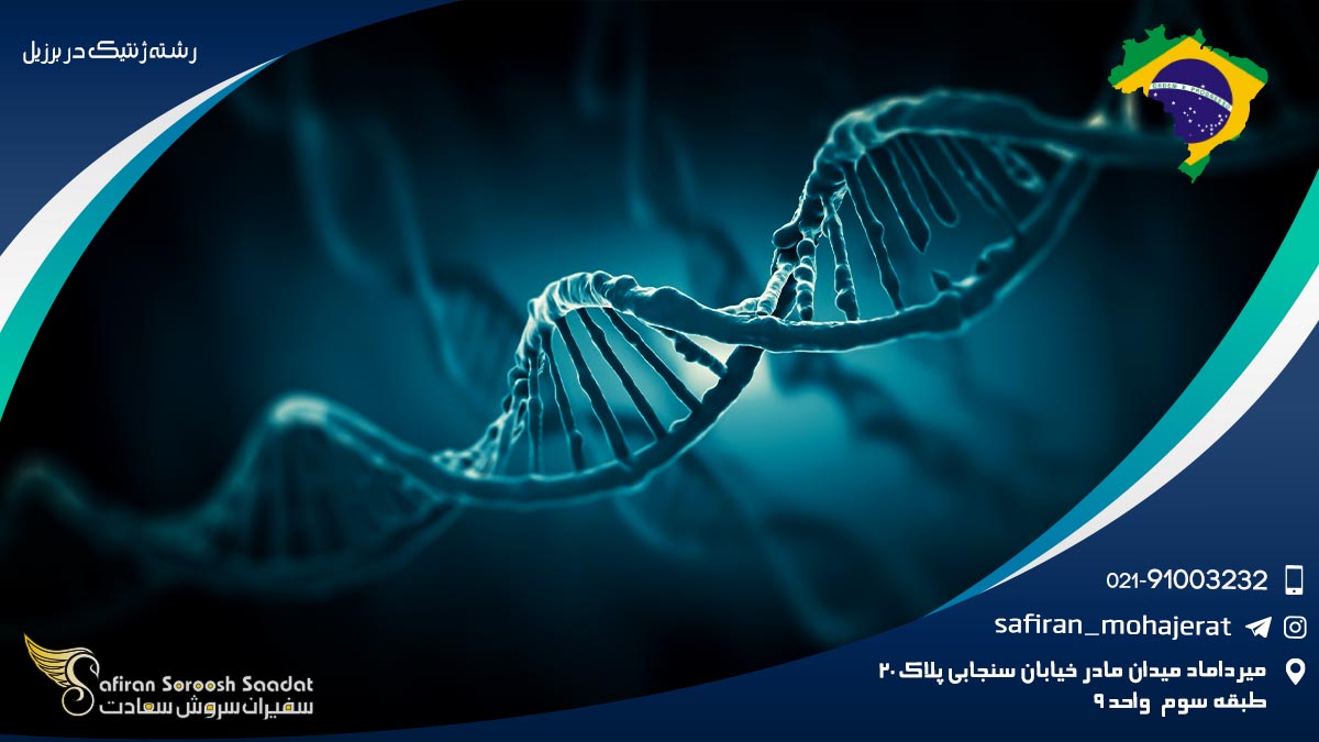 رشته ژنتیک در برزیل