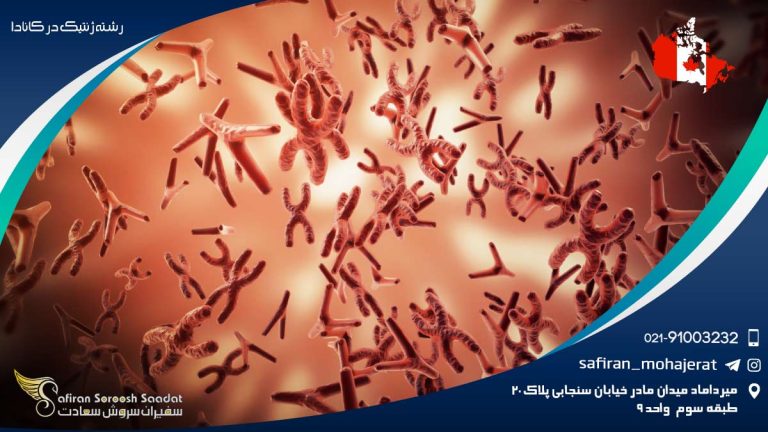 رشته ژنتیک در کانادا