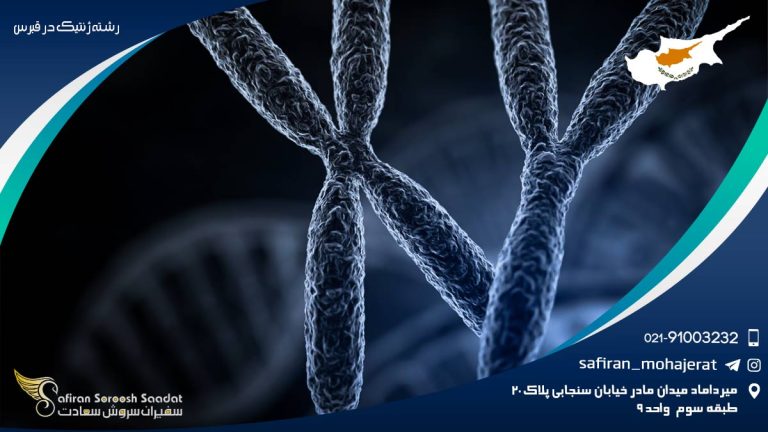 رشته ژنتیک در قبرس
