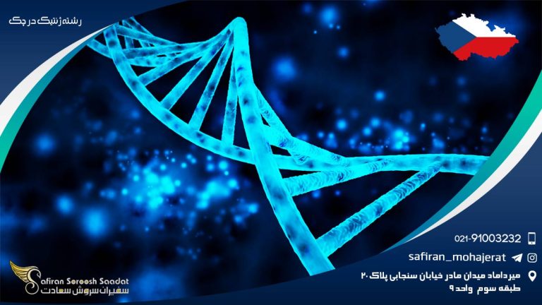 رشته ژنتیک در چک