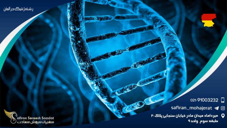 رشته ژنتیک در آلمان