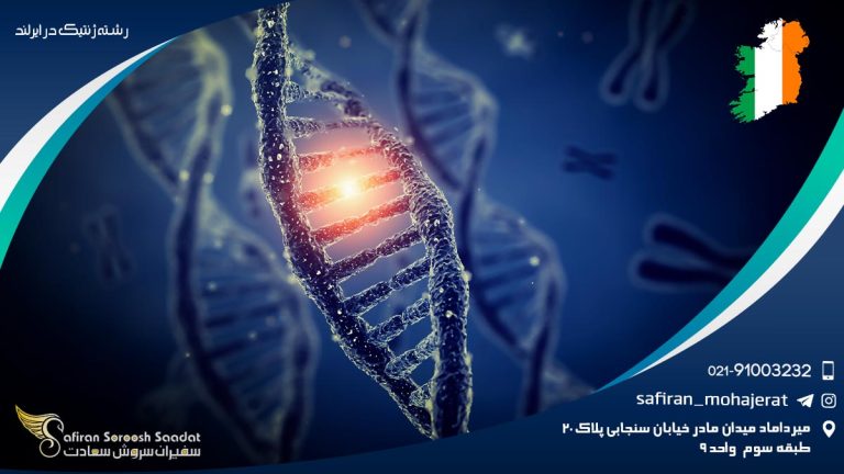 رشته ژنتیک در ایرلند